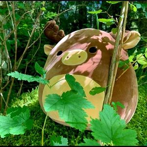 Maurice - Squishmallows - 12” Kelly toys - NWT canadian exclusive squish